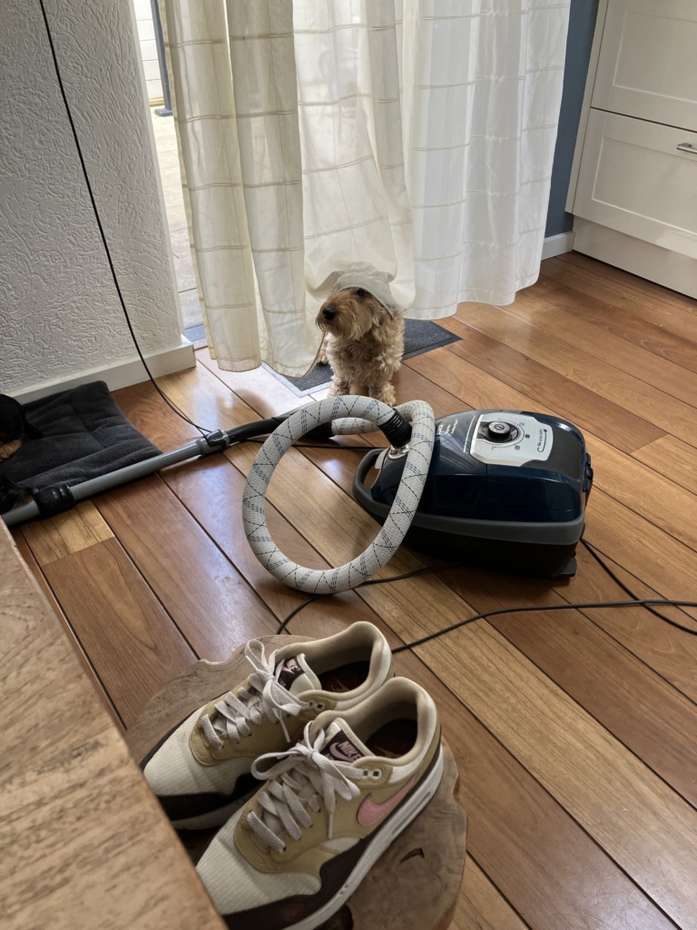 Nothing to see here