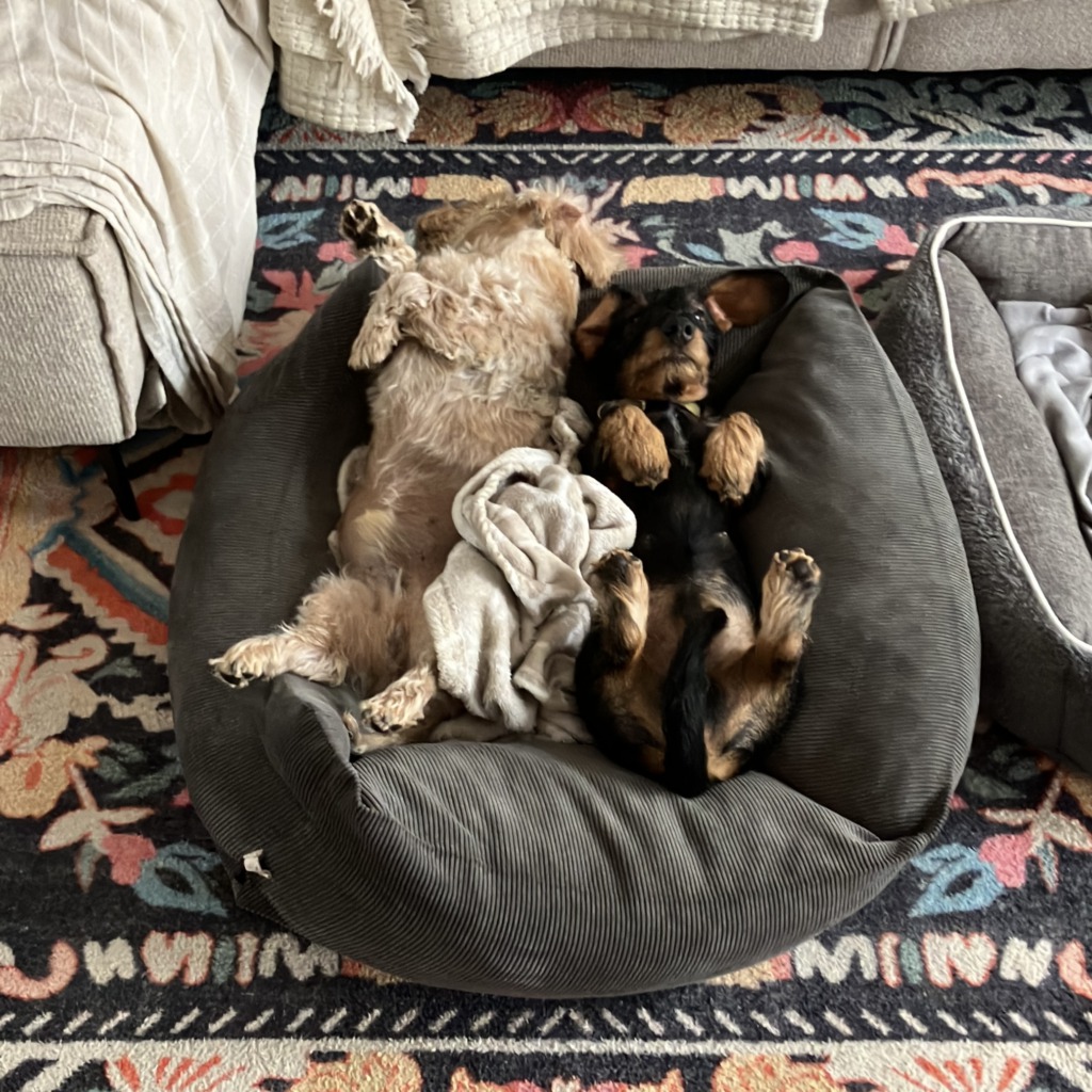 Just the two of us